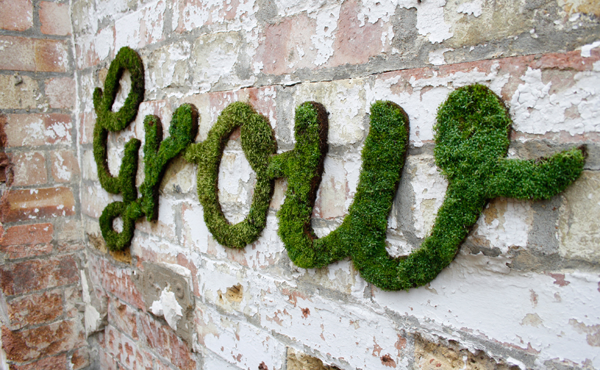 Green you are growing – Ripe you are rotting