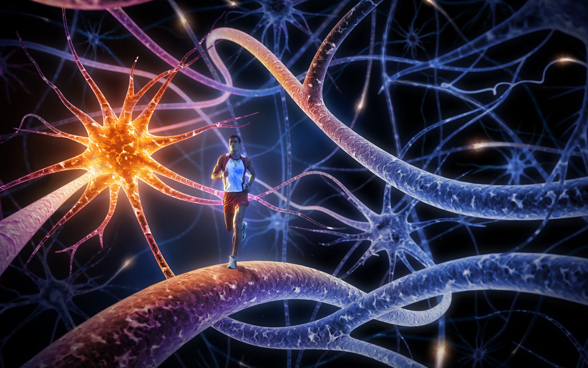 NEURO WISDOM