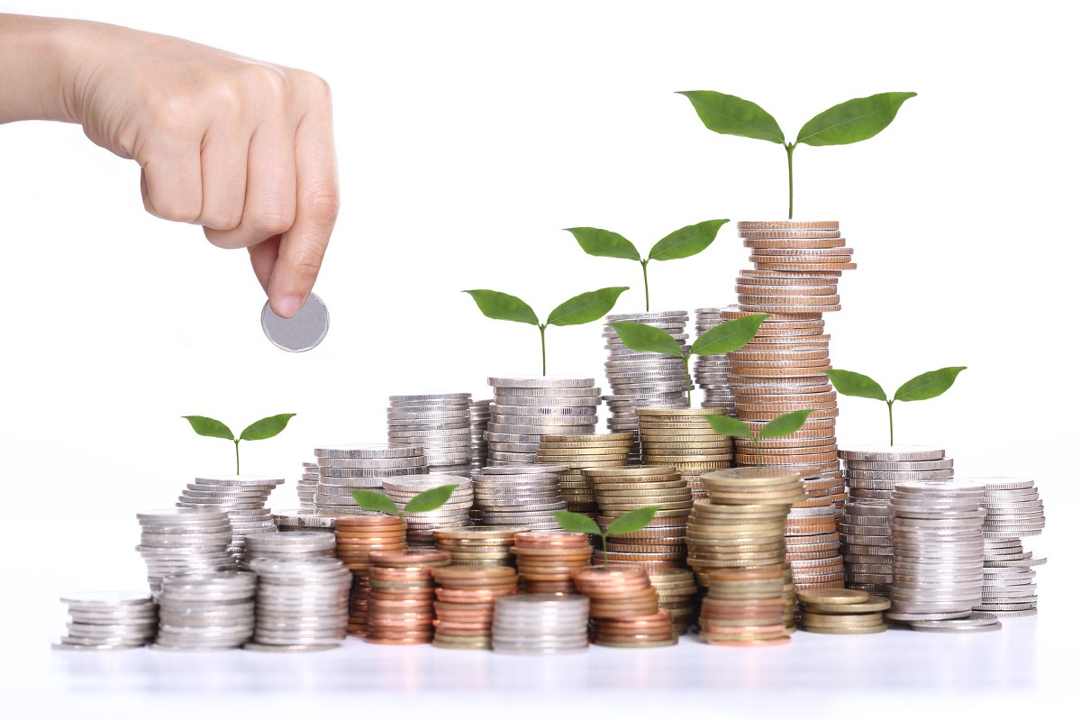 Wealth Creationist – Andrew Woodward