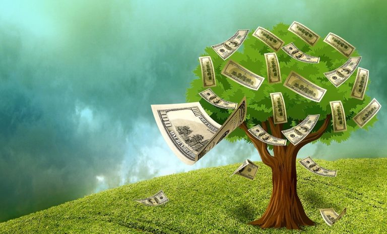 Money Grows on Trees