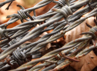Wired for Safety