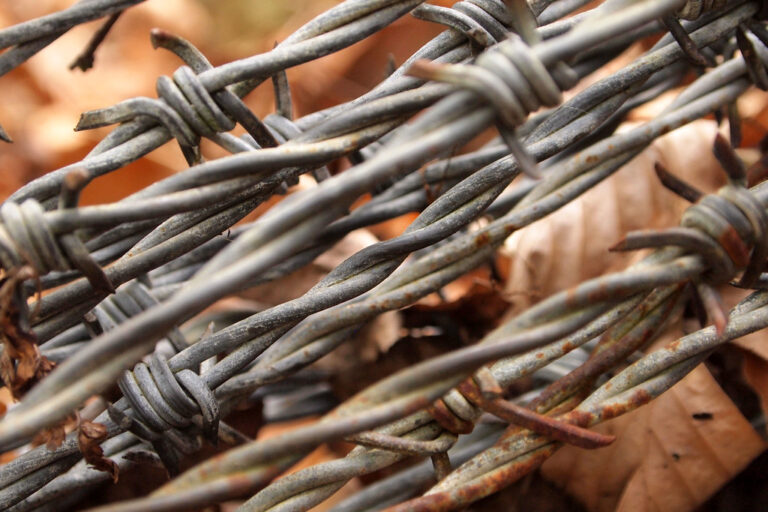 Wired for Safety