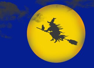 Witch of Wall Street
