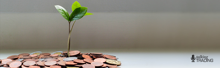 Money Tree